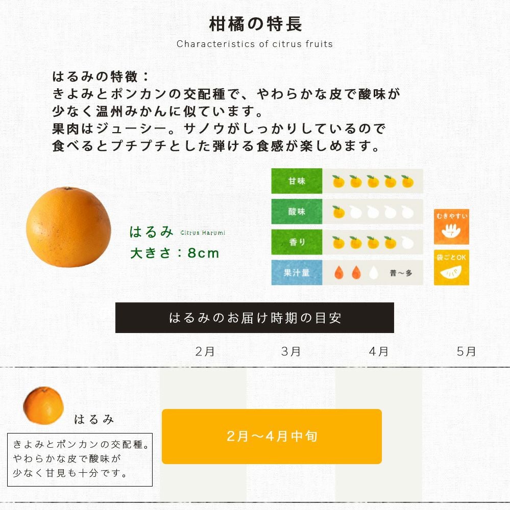 【3月上旬以降 順次発送予定】はるみ【贈答用(特選品)】5kg・10kg