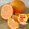 【3月上旬以降 順次発送予定】はるみ【贈答用(特選品)】5kg・10kg
