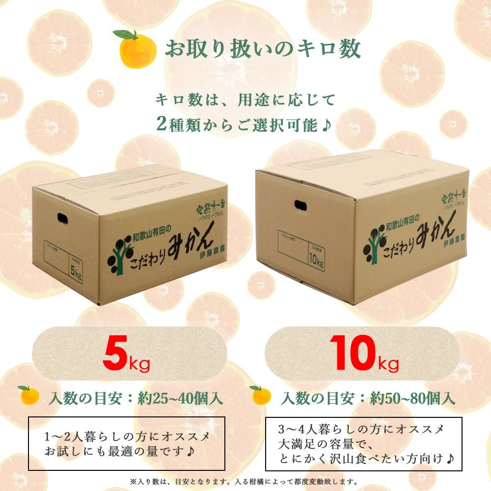2月中旬以降 順次発送予定】はるみ【家庭用(訳あり)】5kg・10kg | 有田