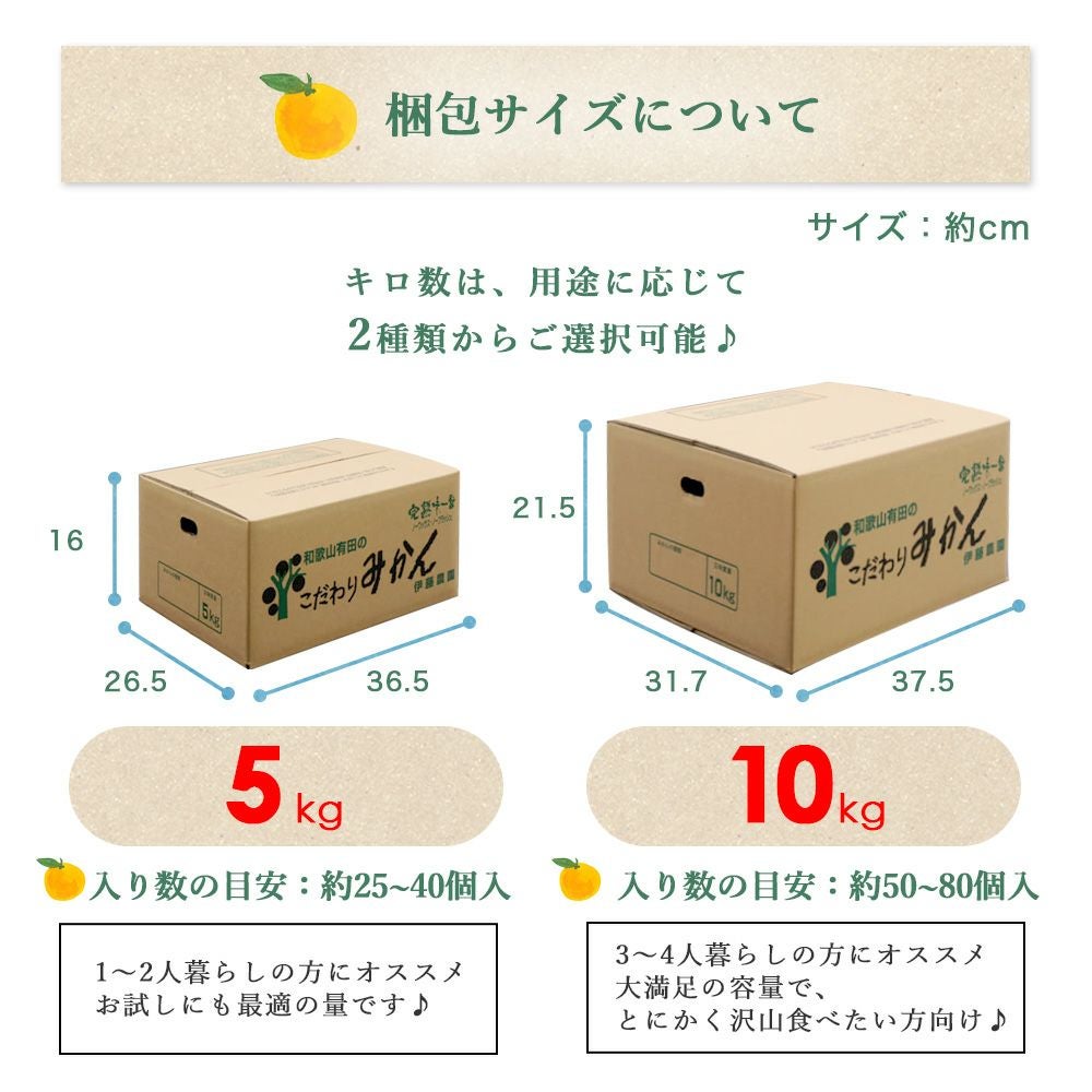 2月中旬以降 順次発送予定】はるみ【家庭用(訳あり)】5kg・10kg | 有田