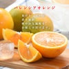 ばれんしあ【贈答用(特選品)】10kg