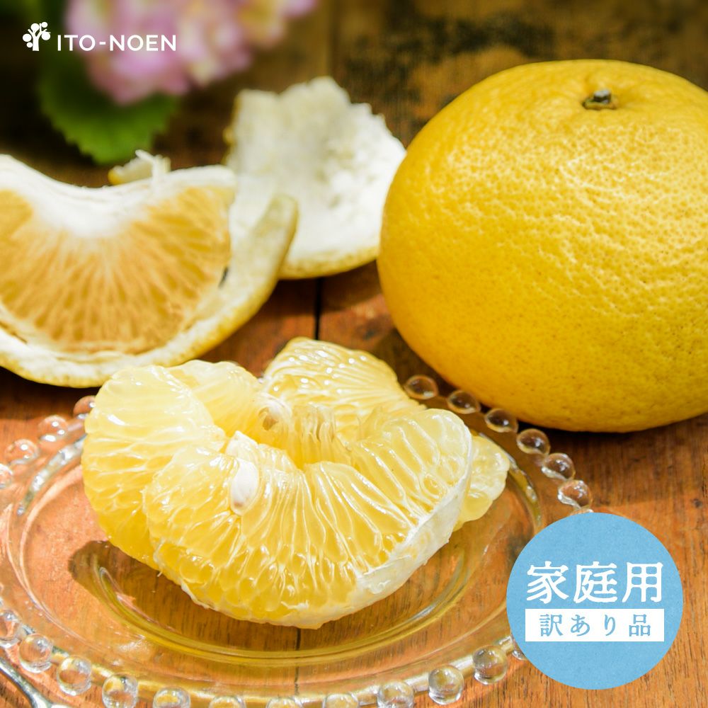 5月上旬より発送予定】【初夏限定】夏みかん【家庭用(訳あり)】 5kg
