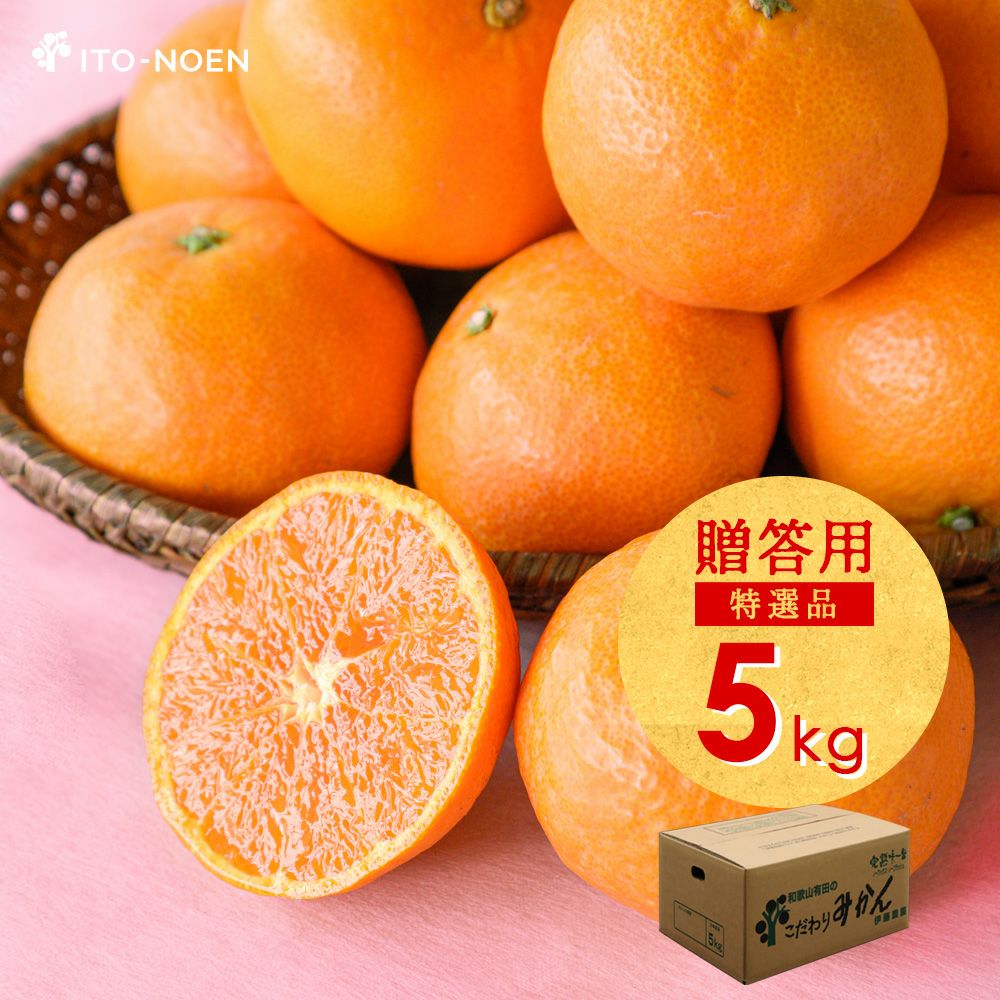 春季限定】カラマンダリン(春みかん)【贈答用(特選品)】5・10kg | 有田