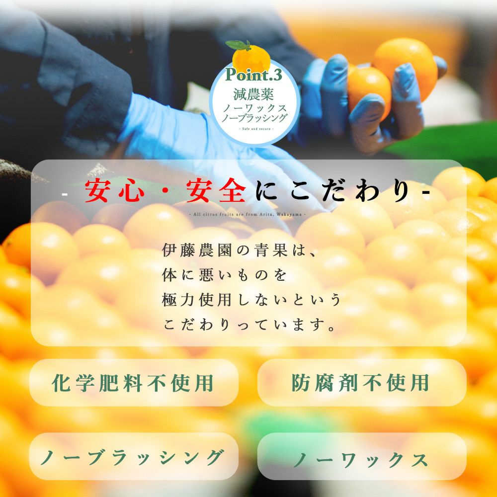 カラマンダリン【家庭用(訳あり品)】5・10kg