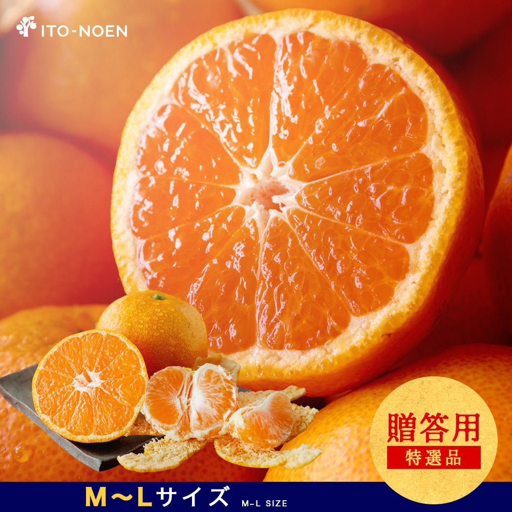 みかんさん専用 和歌山】潮風を浴びた絶品みかんを熟成！下津みかん3kg(25個前後