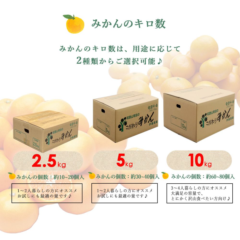お届け定が選べる♪｜お届け予定より発送予定】有田みかんM～Lサイズ