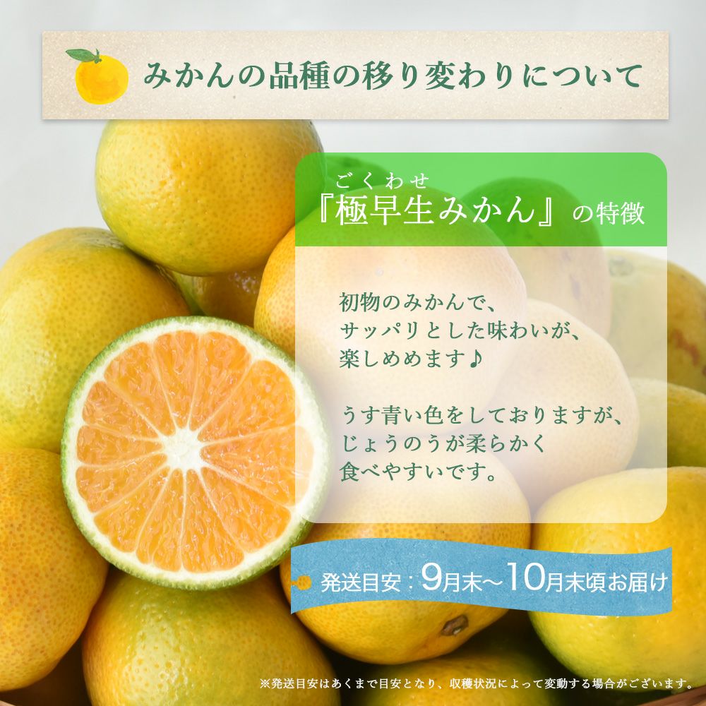 お届け定が選べる♪｜お届け予定より発送予定】有田みかんM～Lサイズ