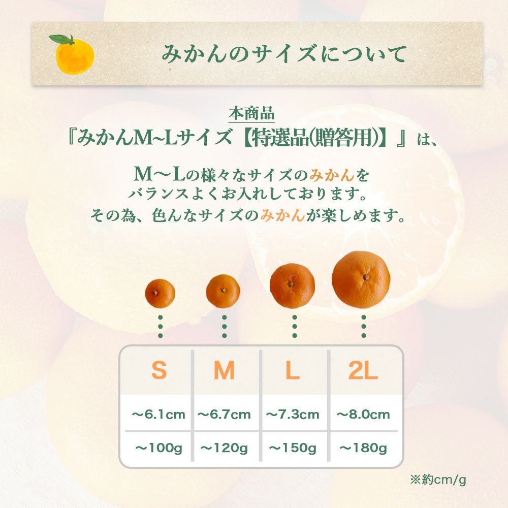 みかんM～Lサイズ【特選品(贈答用)】
