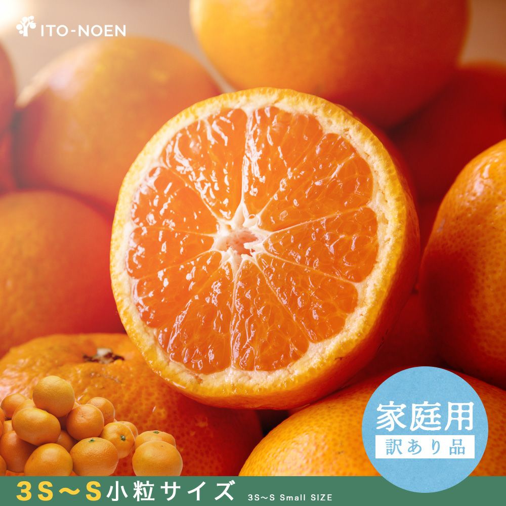 57)数量限定　甘すぎる　有田みかん　果物 　みかん　小玉　旬 有田みかん【小粒小玉】3.3kg（箱込）：和歌山県産のみかん・柑橘類