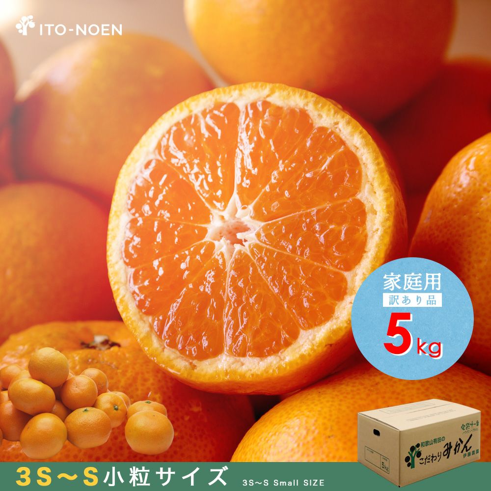 みかん 11月中旬より発送予定】【数量限定】【有機JAS認証付】有田みかん