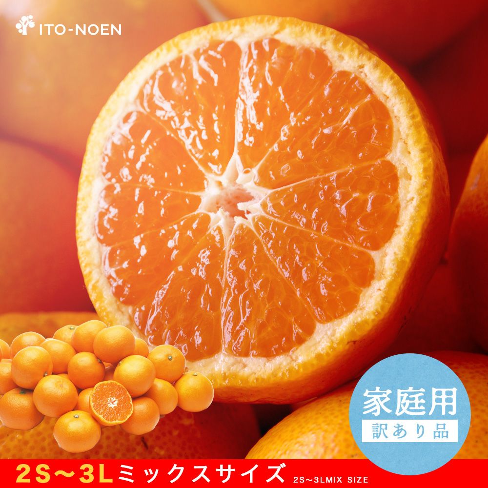 みかん 南柑20号100%！完熟みかんジュース 1000ml×12本入 - 愛媛宇和島 山本農園