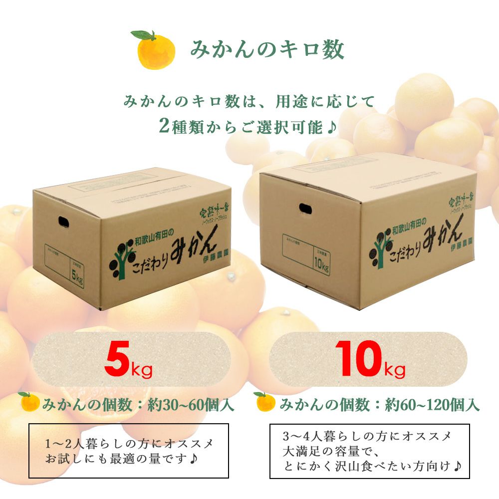 お届け予定が選べる♪｜お届け予定より発送予定】有田みかんミックス