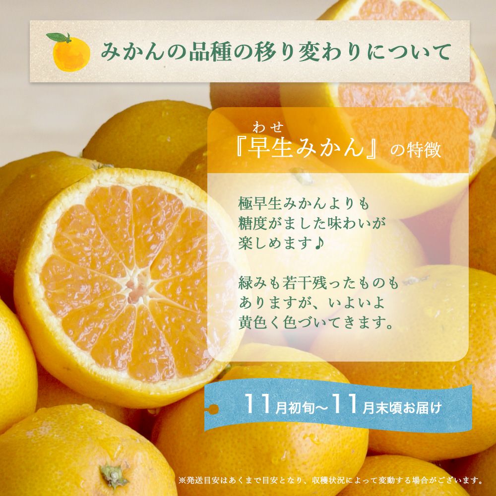 今期最後!?限定50箱】【お届け予定が選べる♪｜お届け予定より発送予定