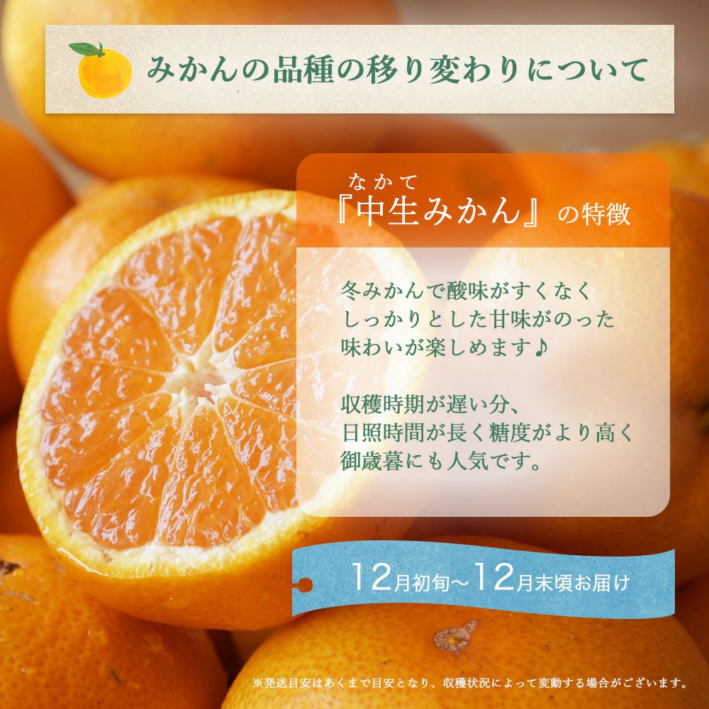今期最後!?限定50箱】【お届け予定が選べる♪｜お届け予定より発送予定