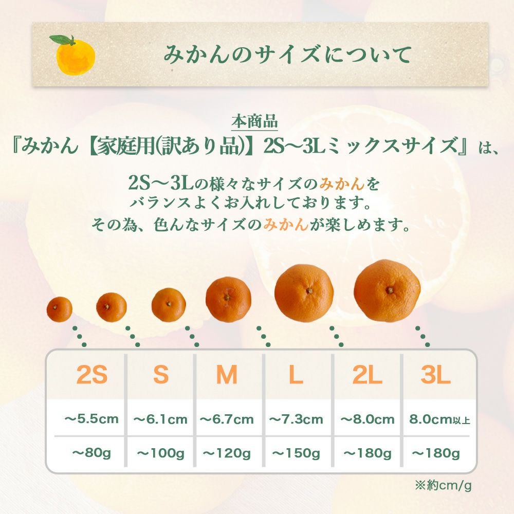 今期最後!?限定50箱】【お届け予定が選べる♪｜お届け予定より発送予定