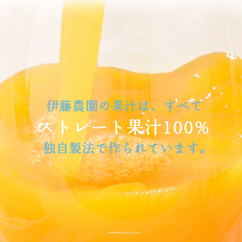 バラエティセット V-034