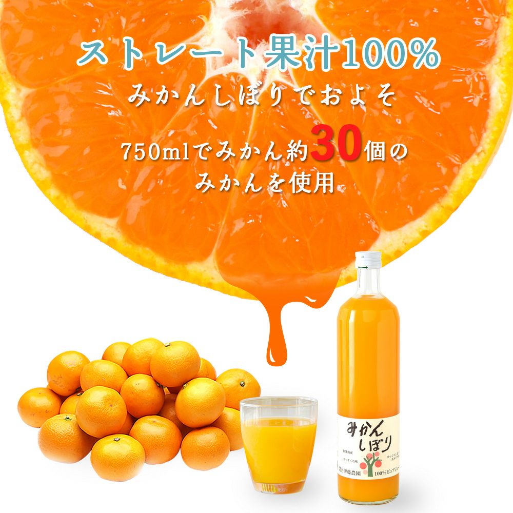 バラエティセット V-034