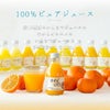 バラエティセットV-064(みかんジュース750ml×2本・180ml×8本 バラエティセット)