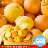 春かんきつお楽しみ箱【家庭用(訳あり)】5・10kg(3～4種類の春かんきつ詰め合せ)