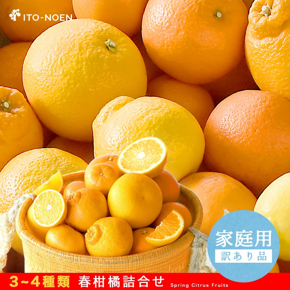 春かんきつお楽しみ箱【贈答用(特選品)】5・10kg