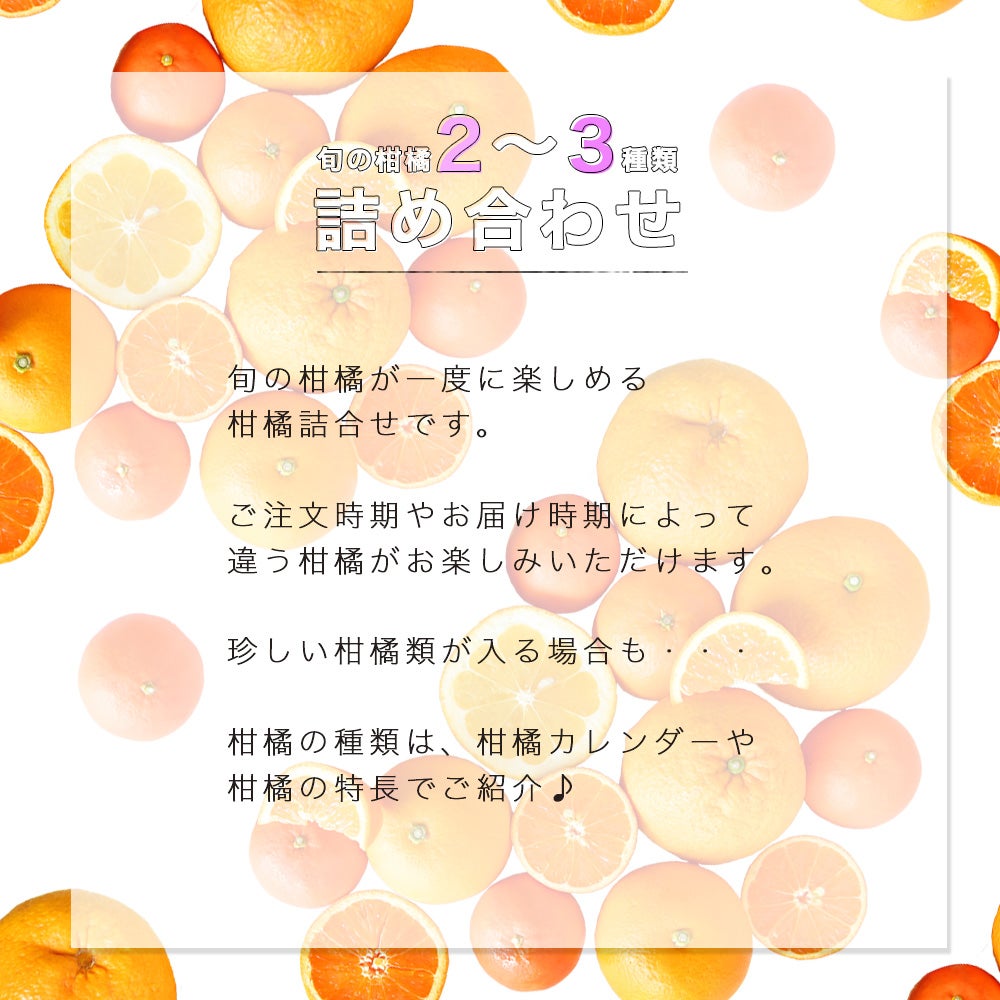 春かんきつお楽しみ箱【家庭用(訳あり)】5・10kg(3～4種類の春かんきつ詰め合せ)