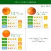 春かんきつお楽しみ箱【家庭用(訳あり)】5・10kg(3～4種類の春かんきつ詰め合せ)