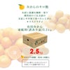 みかん小粒サイズ【家庭用(訳あり品)】2.5kg]