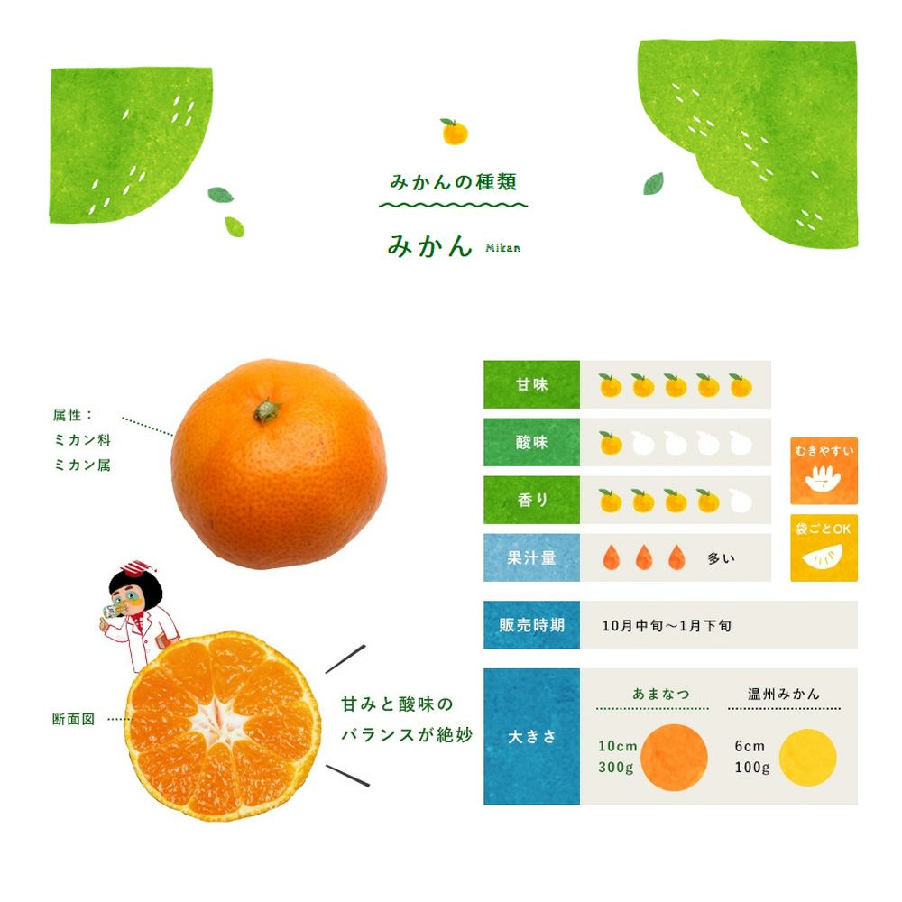 みかん小粒サイズ【家庭用(訳あり品)】2.5kg]