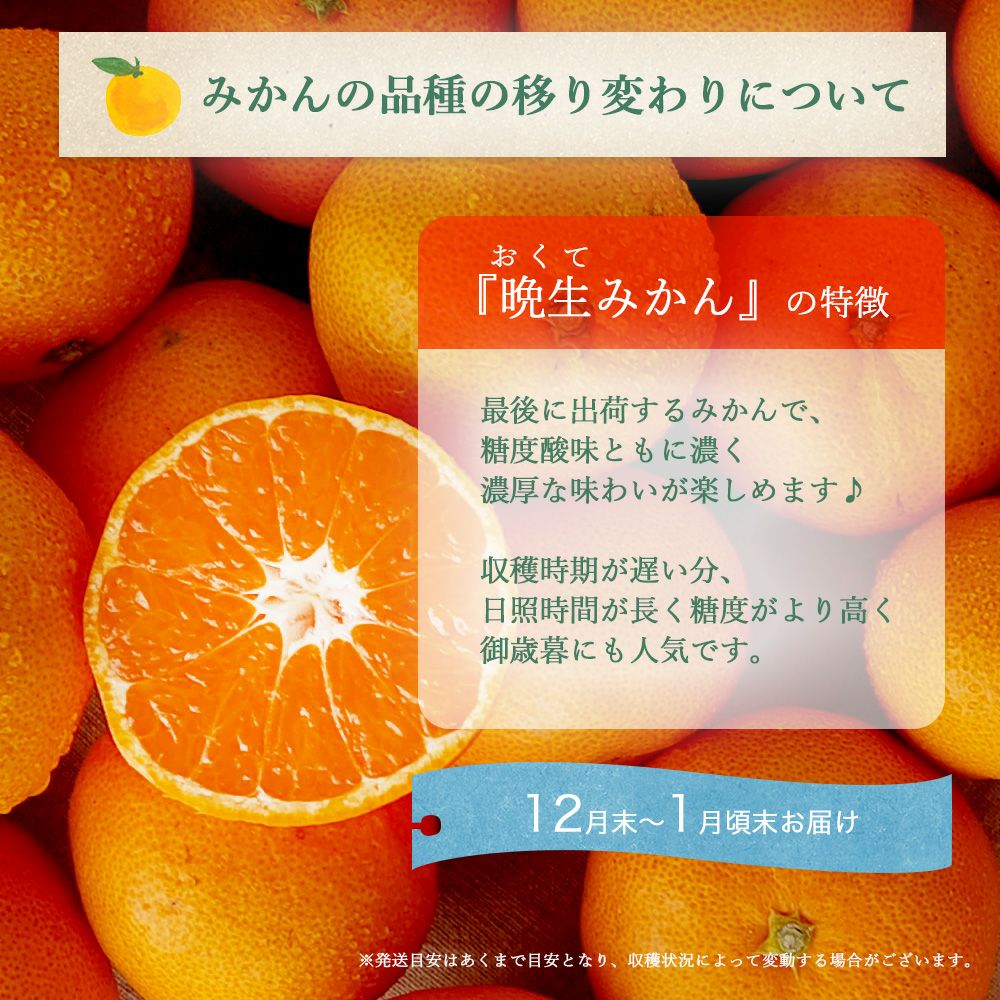 お届け予定が選べる♪｜お届け予定より発送予定】有田みかん小粒サイズ