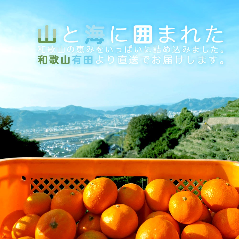 【母の日ギフト2024】100%ピュアジュース 750mlv-012h1×2本・180ml×8本(花・ﾒｯｾｰｼﾞｶｰﾄﾞ付)