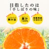 【母の日ギフト2025】ピュアフルーツ寒天ジュレ 6個(みかんジュレ他おすすめセット)セット(花・ﾒｯｾｰｼﾞｶｰﾄﾞ付)
