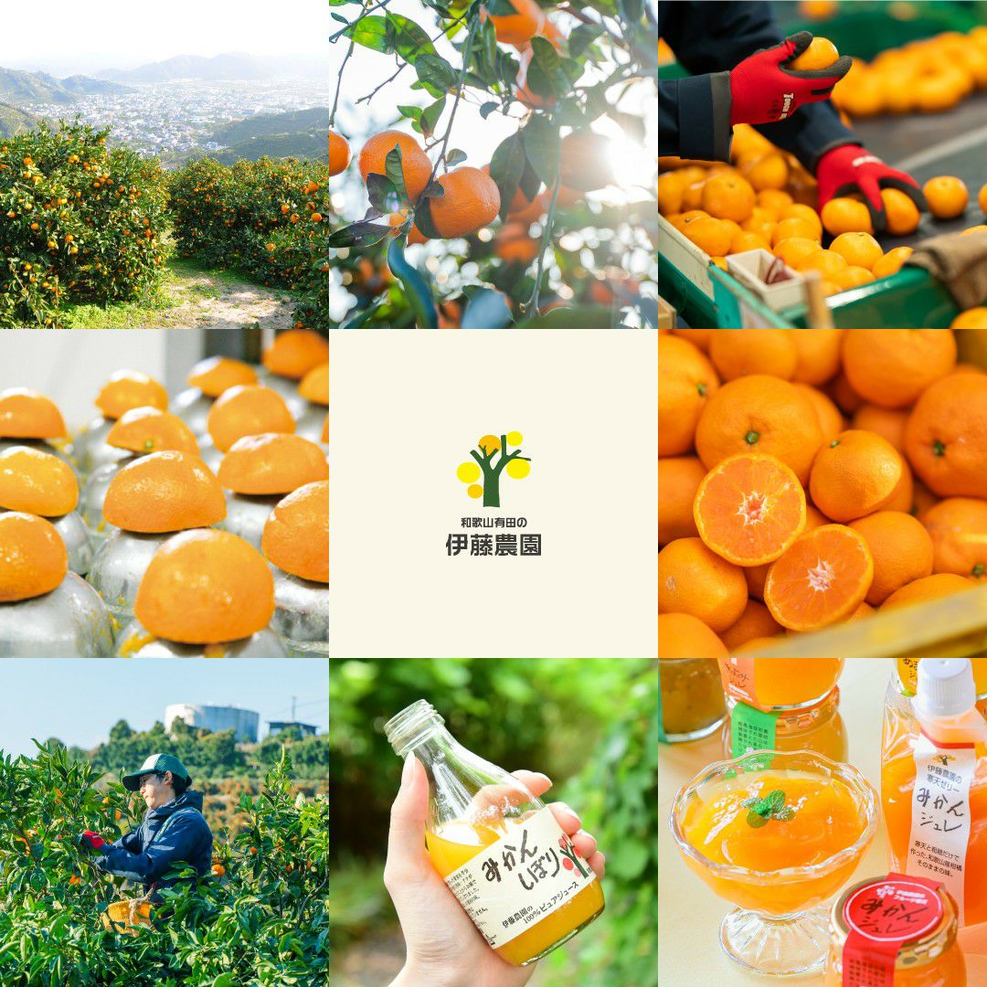 みかん七味セット (缶入り1個+詰替え用2袋)