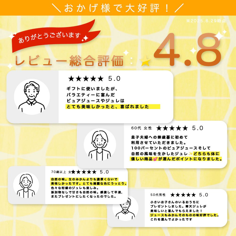 バラエティセット V-113