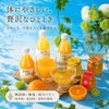 【 ギフト人気No.1 】バラエティセット V-113 100%ピュアジュース180ml×5本・ジュレ4個 (みかんジュース他バラエティセット)