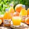 100%ピュアジュース 180ml(みかんジュースオススメセット)×10本