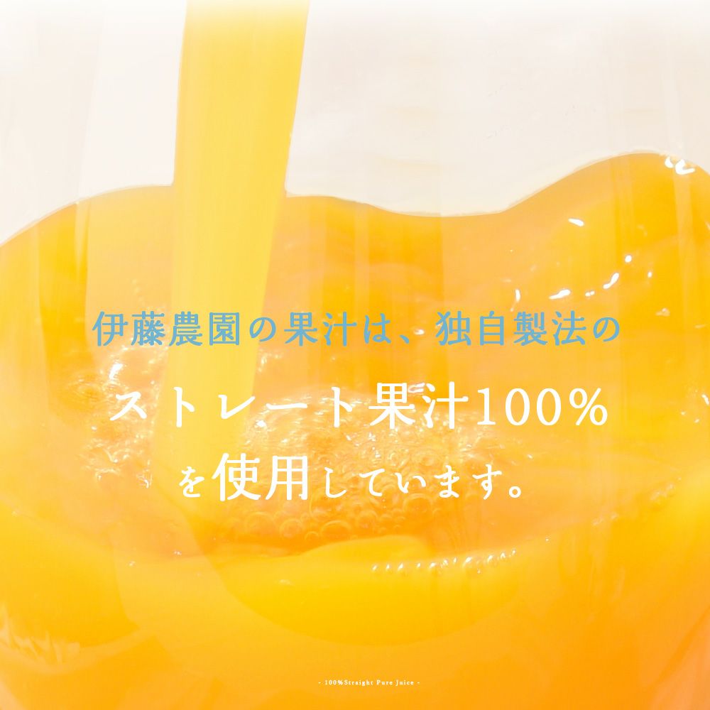 バラエティセット(100%ピュアジュース180ml×7本・素朴ドリンク3本)V-032