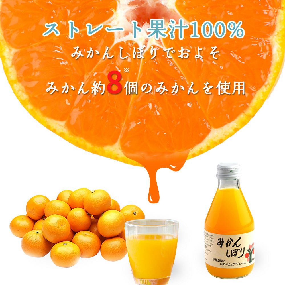 バラエティセット(100%ピュアジュース180ml×7本・素朴ドリンク3本)V-032