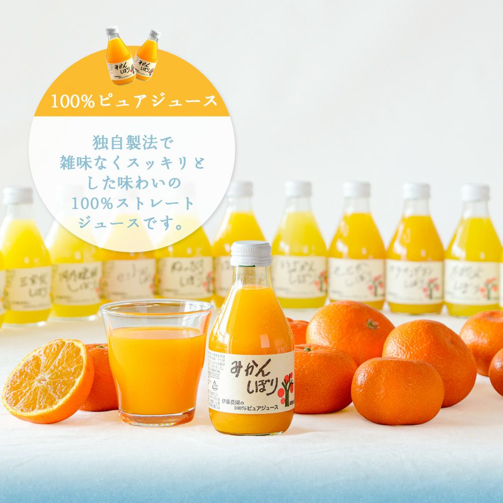 バラエティセット(100%ピュアジュース180ml×7本・素朴ドリンク3本)V-032