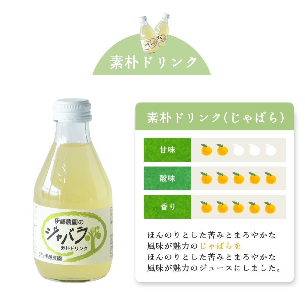 バラエティセット(100%ピュアジュース180ml×7本・素朴ドリンク3本)V-032