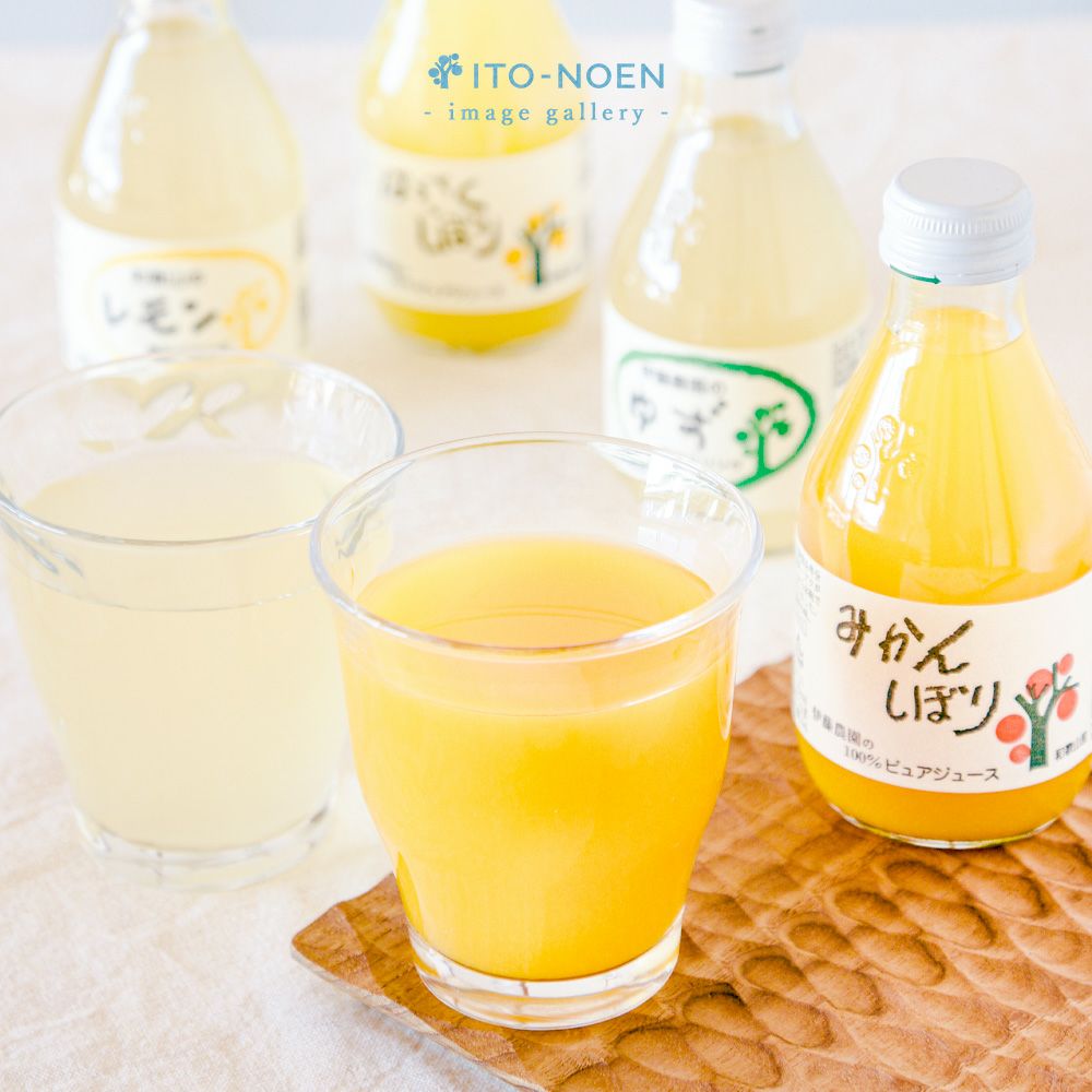 バラエティセット(100%ピュアジュース180ml×7本・素朴ドリンク3本)V-032