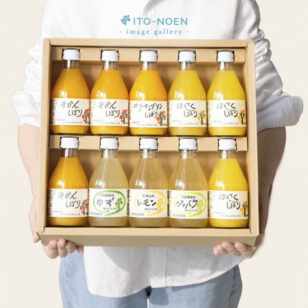 バラエティセット(100%ピュアジュース180ml×7本・素朴ドリンク3本)V-032