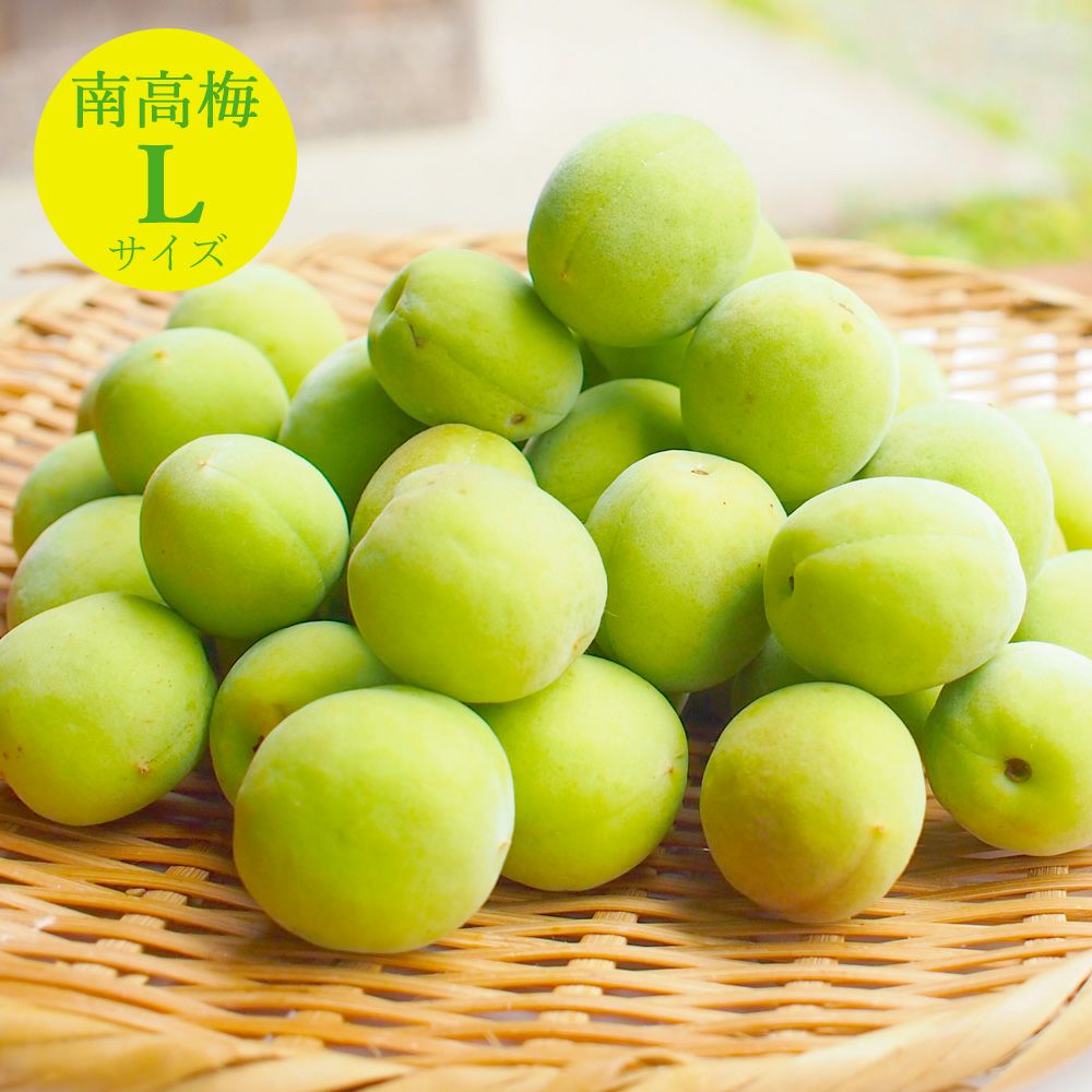 伊藤農園の南高梅 3kg