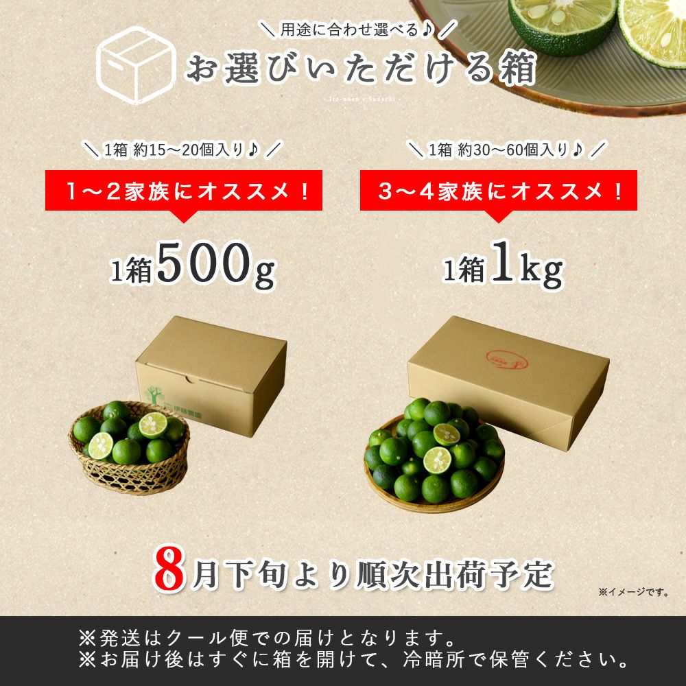すだち【贈答用(特選品)】500g・1kg