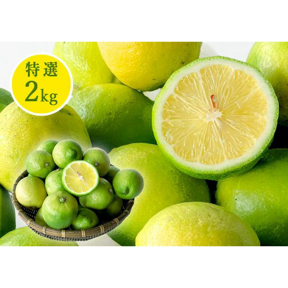 レモン | 有田みかん・和歌山県産柑橘の青果、加工品、販売 柑橘の専門