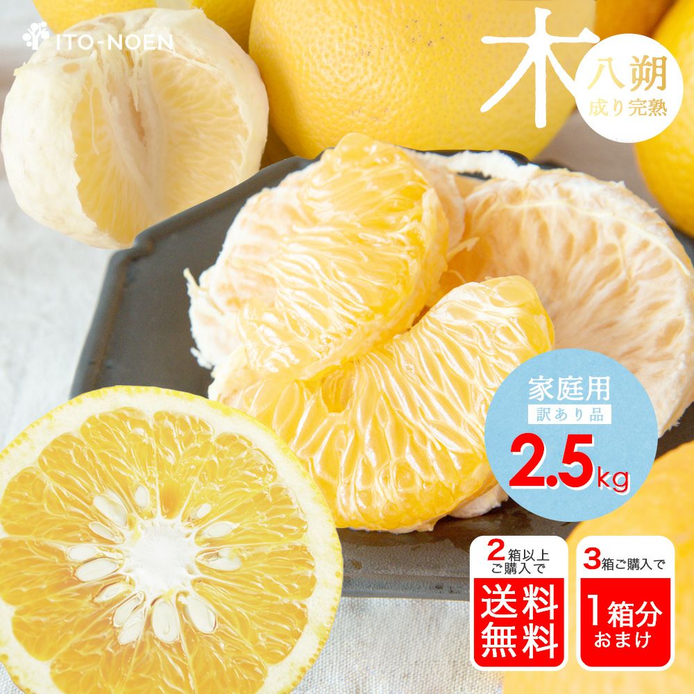木成り八朔(はっさく)【家庭用(訳あり品)】 | 有田みかん・和歌山県産