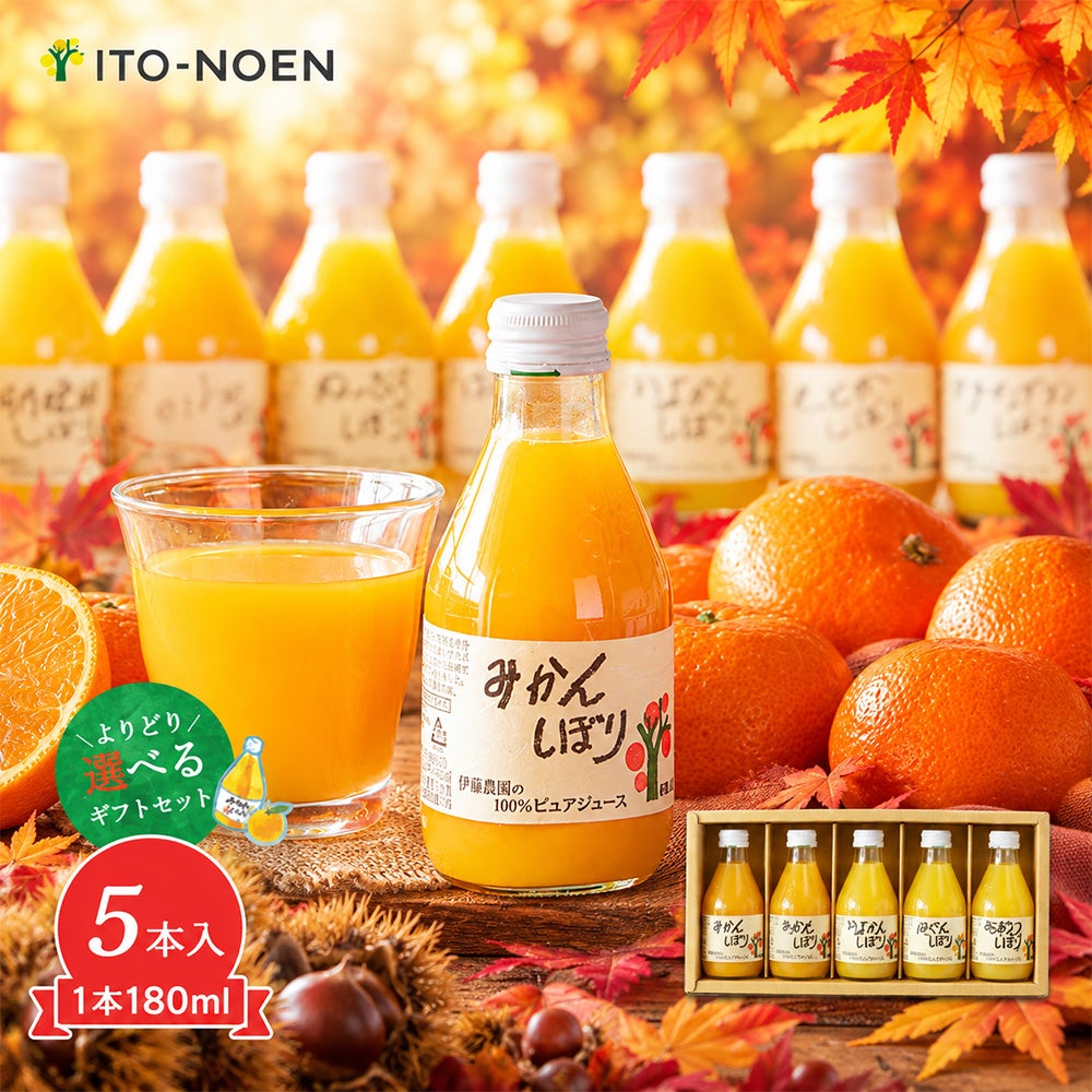 人気商品7位