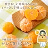 伊藤農園のひんやりむきみかん 