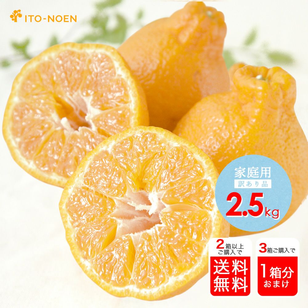 不知火訳あり2.5kg