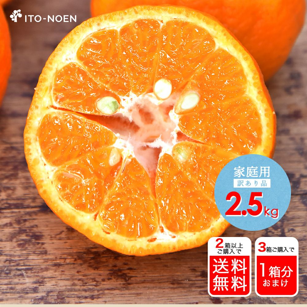 文旦　山北みかん　ポンカン　好きにも　03 ポンカン｜和歌山県産ポンカンを産直直送・お取り寄せ・通販なら和歌山