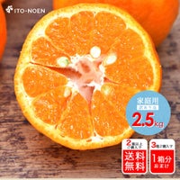 ポンカン【家庭用(訳あり)】2.5kg